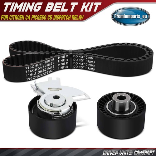 Timing belt kit - kit, citroën