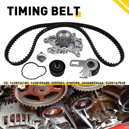 Cam belt kit - cam,